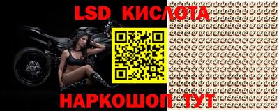 apvp Гусев