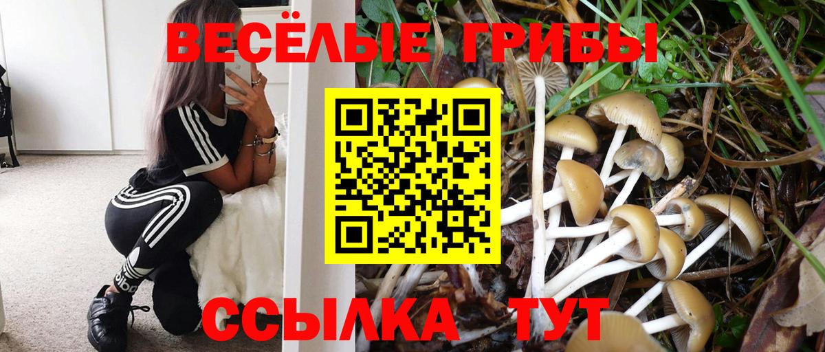 Усть-Илимск  купить наркотики цена  Вход с VPN  Псилоцибиновые грибы мухоморы 