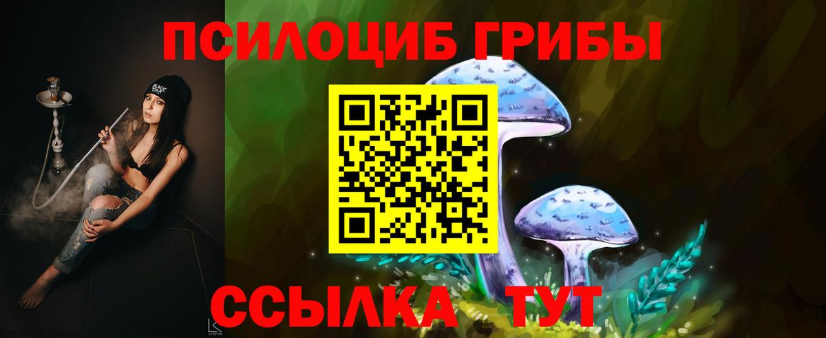Галлюциногенные грибы Cubensis Усть-Илимск